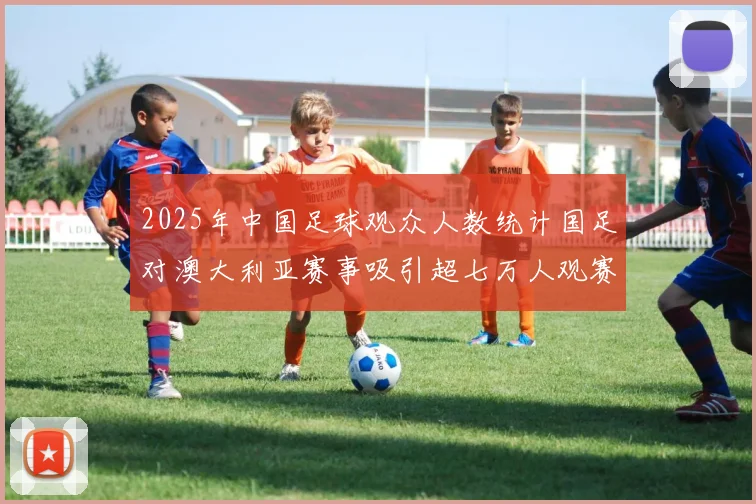 2025年中国足球观众人数统计国足对澳大利亚赛事吸引超七万人观赛