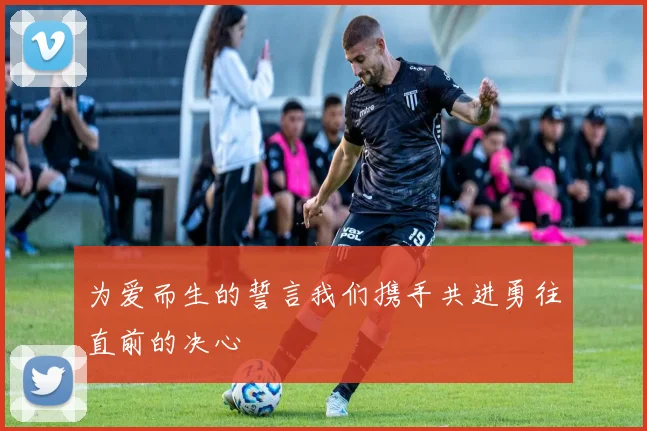 为爱而生的誓言我们携手共进勇往直前的决心