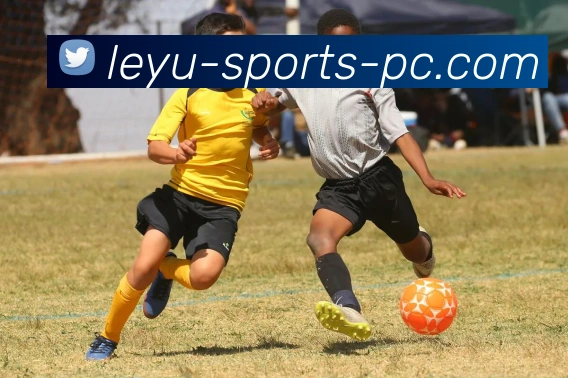 乐鱼体育APP 高清赛事图